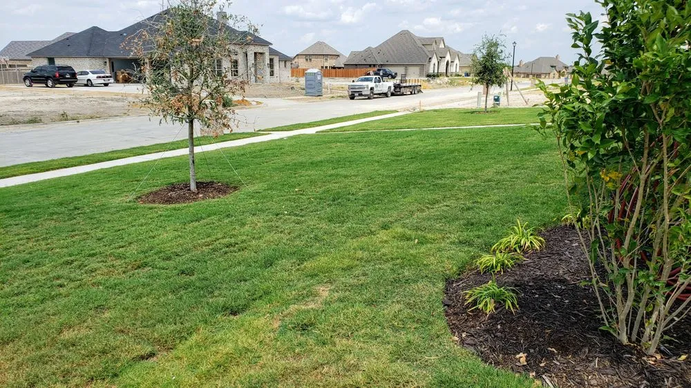Expert lawn care service experts serving waxahachie, TX - Southern Pine Mowing