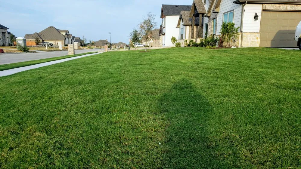 Professional lawn mowing service in waxahachie, TX - Southern Pine Mowing
