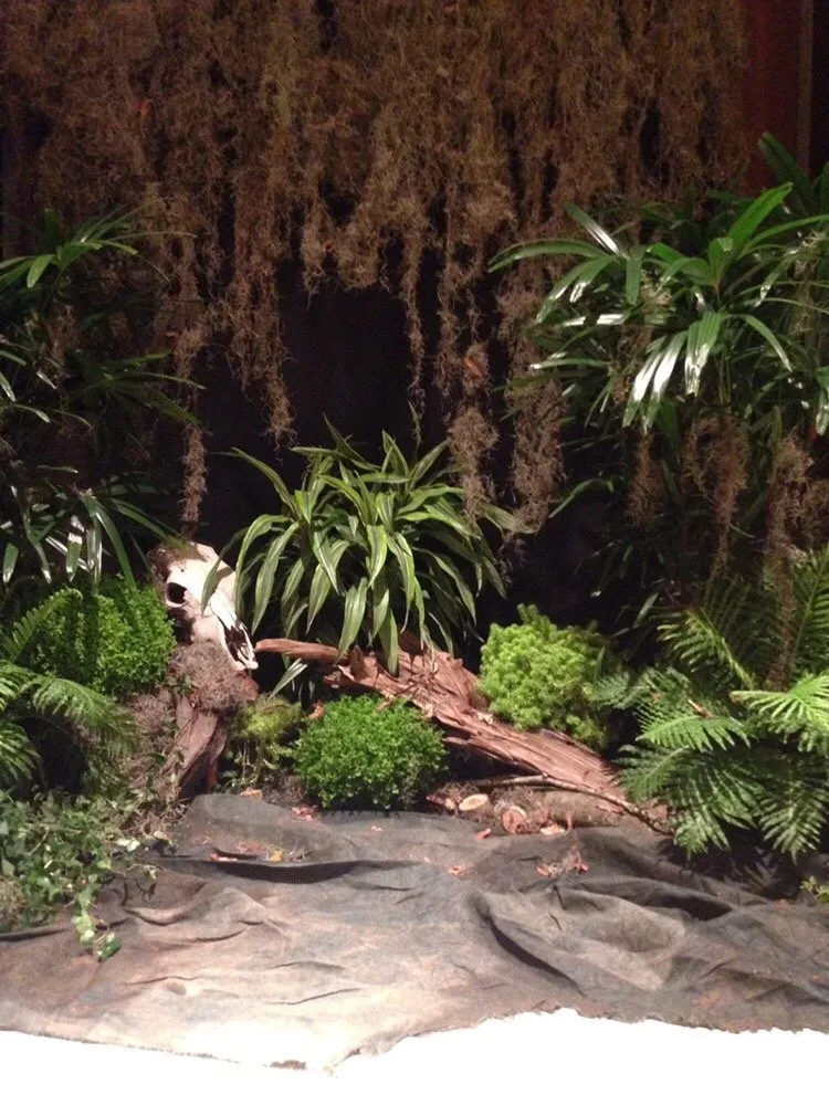 Top-rated residential landscaping in Bessemer, AL by Southern Plant Designs