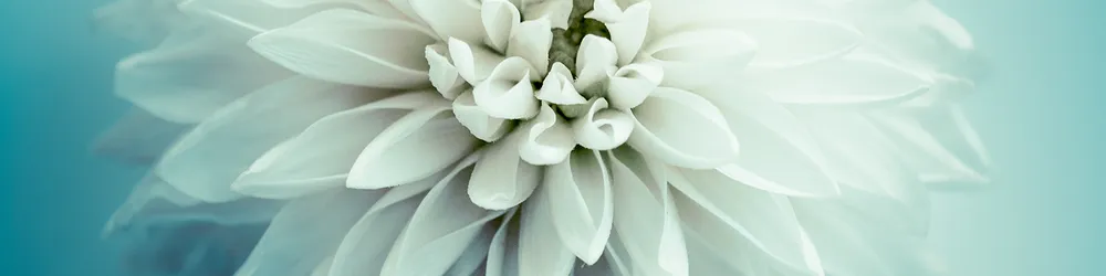 Local landscape installation with custom design in Bessemer, AL by Southern Plant Designs