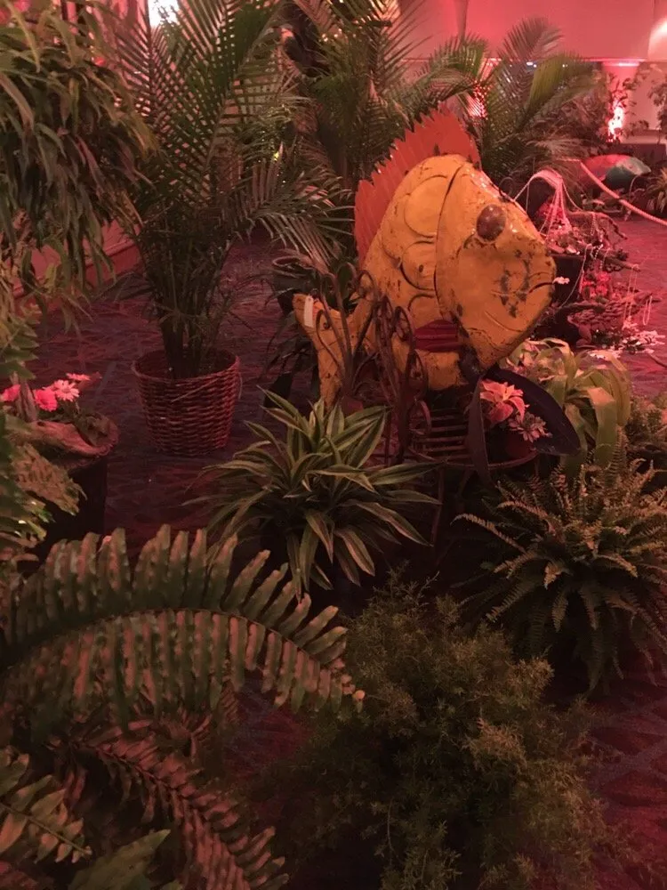 Local yard cleanup service experts serving Bessemer, AL - Southern Plant Designs