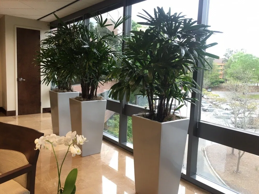 Reliable lawn care service experts serving Bessemer, AL - Southern Plant Designs