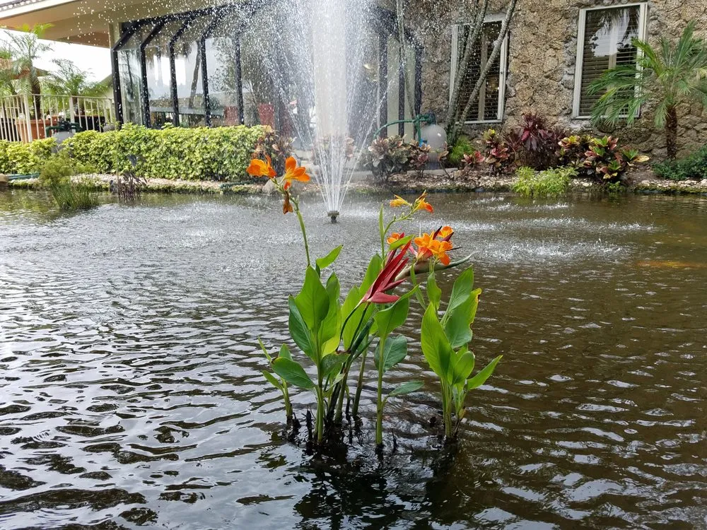 Expert outdoor landscaping with custom design in Boca Raton, FL by Southern Pond and Fountain