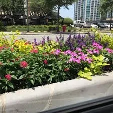 Top-rated residential landscaping for outdoor upgrades in Gulf Shores, AL by Southern Precision Cuts