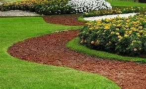 Expert outdoor landscaping in Gainesville, FL - Southern Preservation of Gainesville