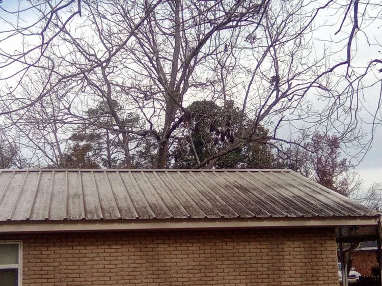 Professional garden landscaping in Baton Rouge, LA - Southern Pressure Cleaning Service