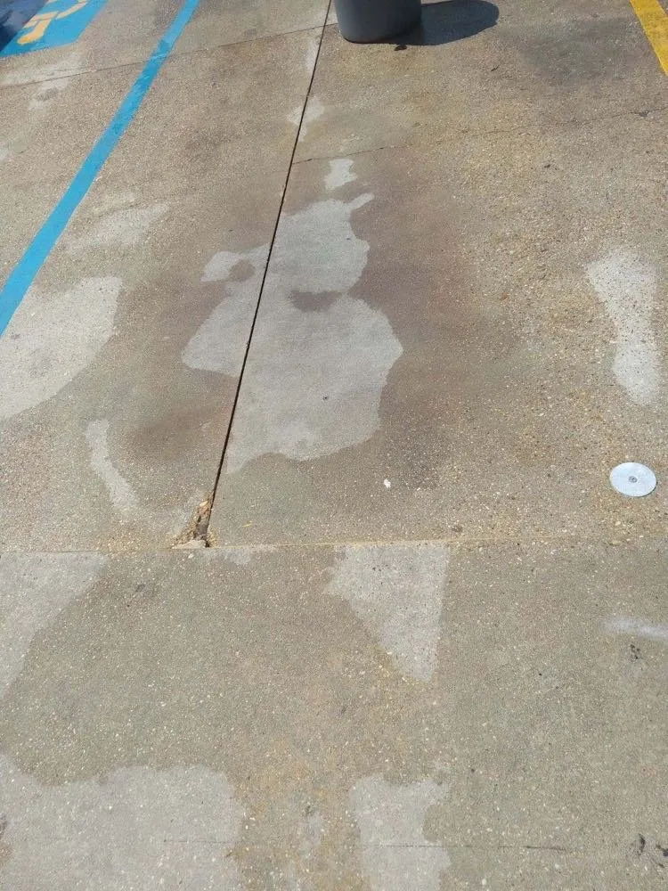 Trusted yard maintenance experts serving Baton Rouge, LA - Southern Pressure Cleaning Service