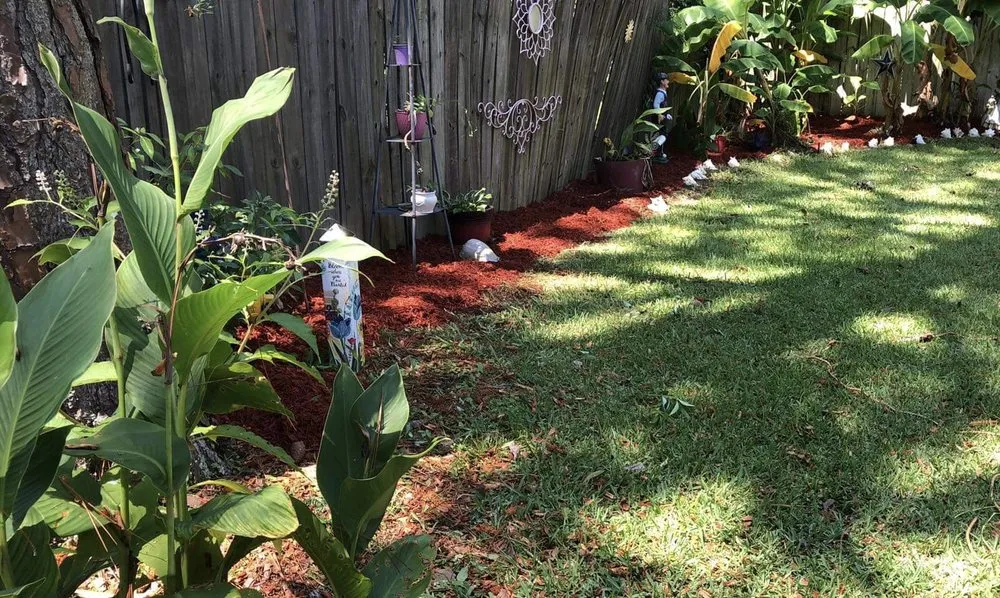 Expert lawn care service in Savannah, GA - Southern Pressure Washing