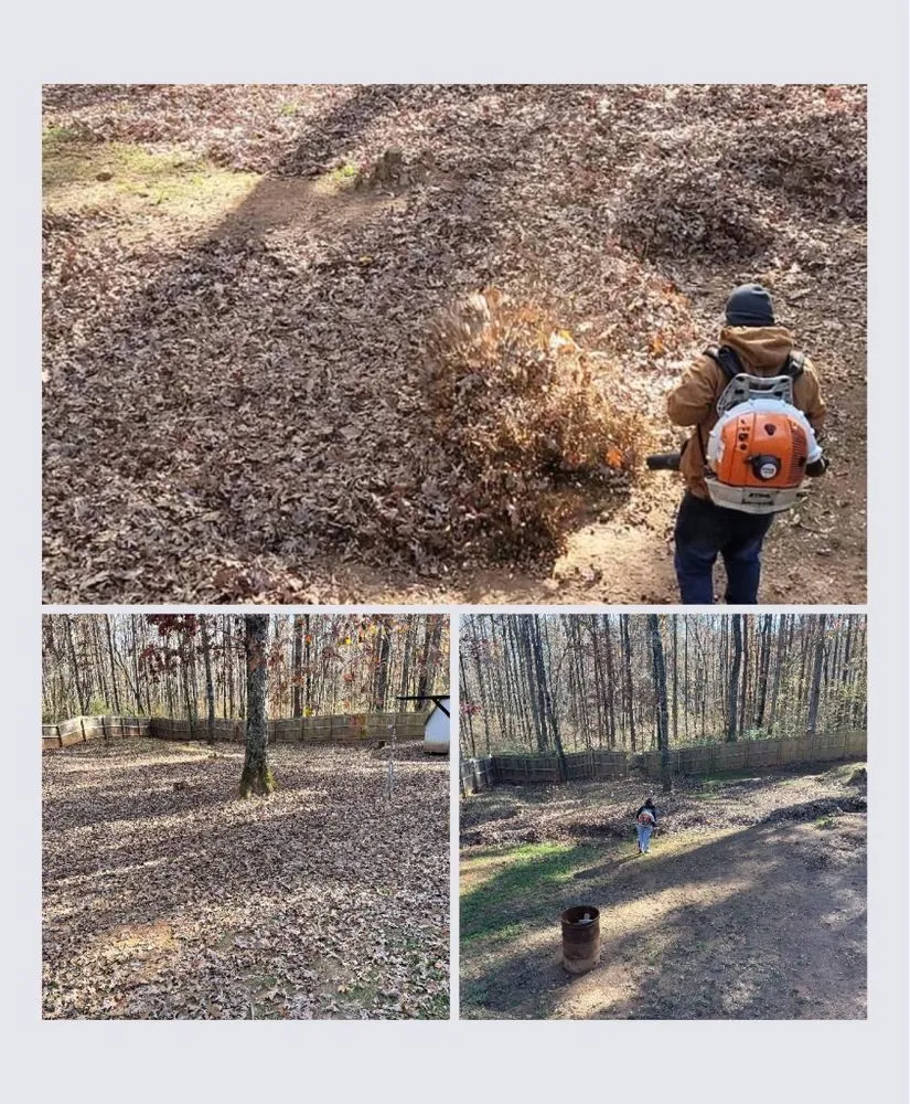 Reliable residential landscaping for year-round maintenance across Newnan, GA - Southern Pride Landscaping