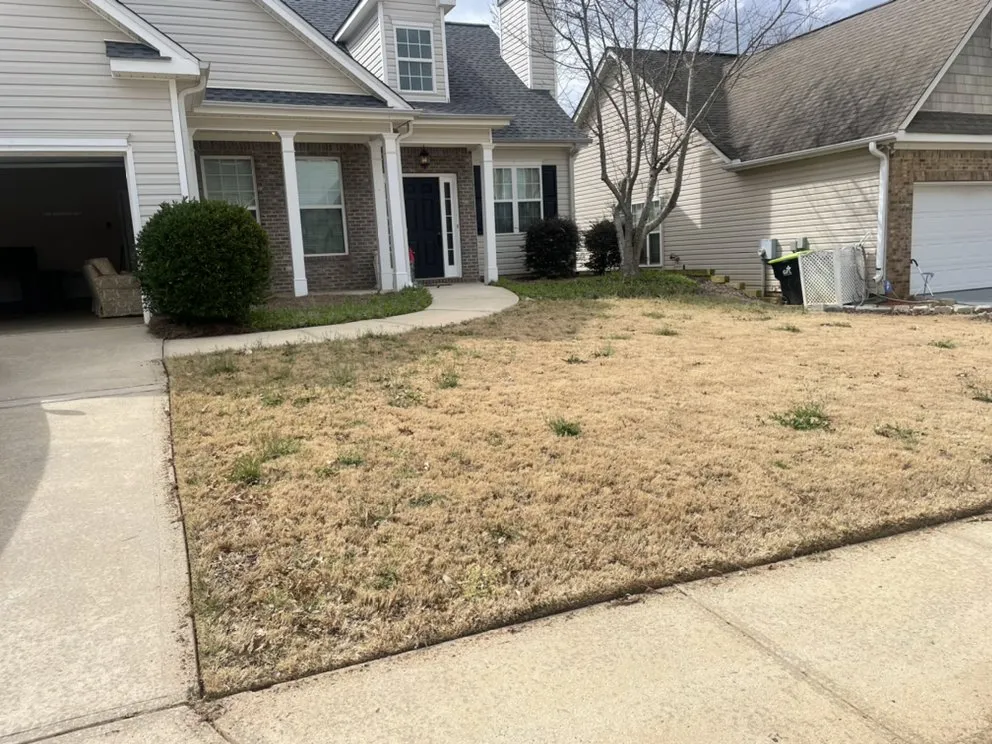 Affordable landscaping services near you across Newnan, GA - Southern Pride Landscaping