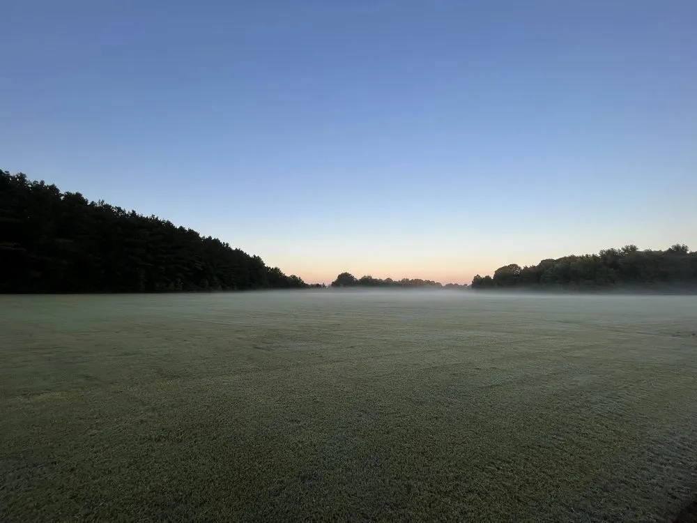 Top-rated residential landscaping for year-round maintenance across Byhalia, MS - Southern Pride Sod