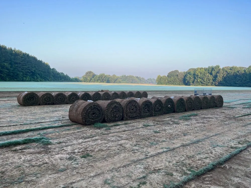 Professional yard maintenance in Byhalia, MS - Southern Pride Sod
