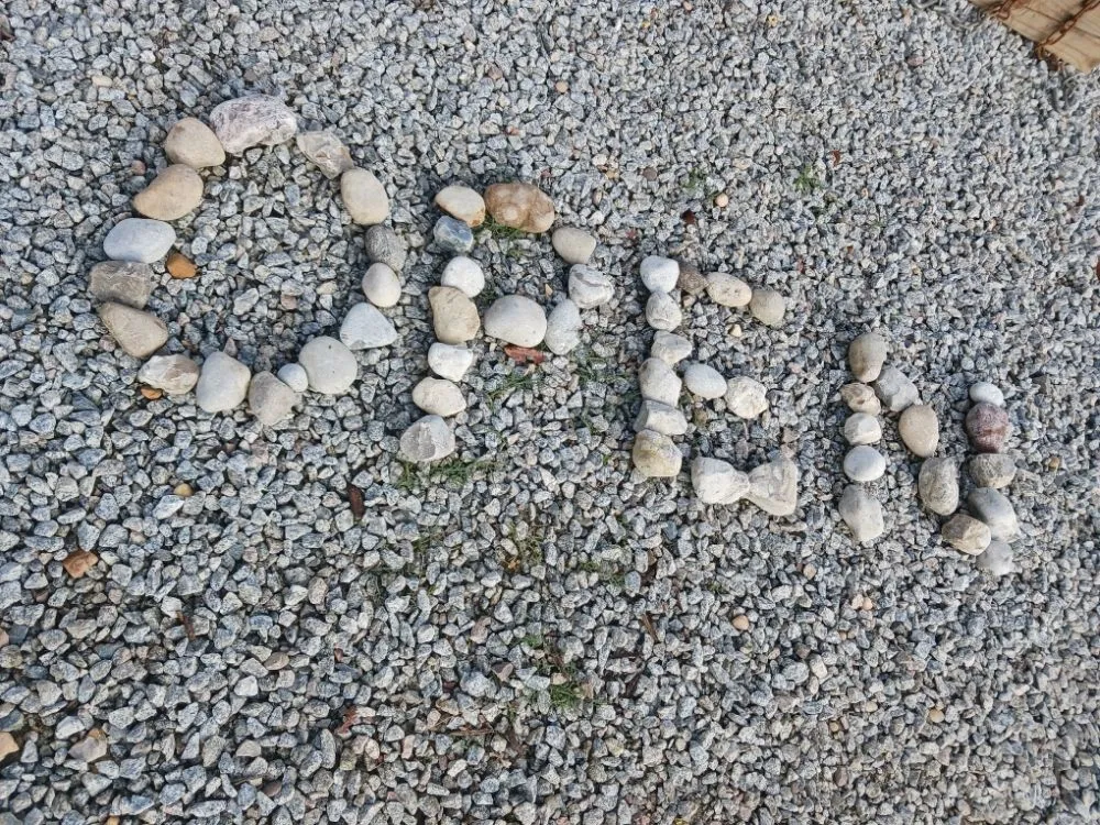 Local lawn care service for outdoor upgrades in Grovetown, GA by Southern Pro Landscaping & Construction