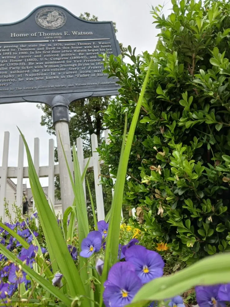 Reliable garden landscaping for beautiful yards in Grovetown, GA by Southern Pro Landscaping & Construction