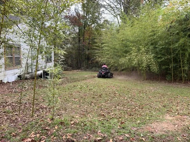 Professional garden landscaping for homes in Byhalia, MS by Southern Property Dreams