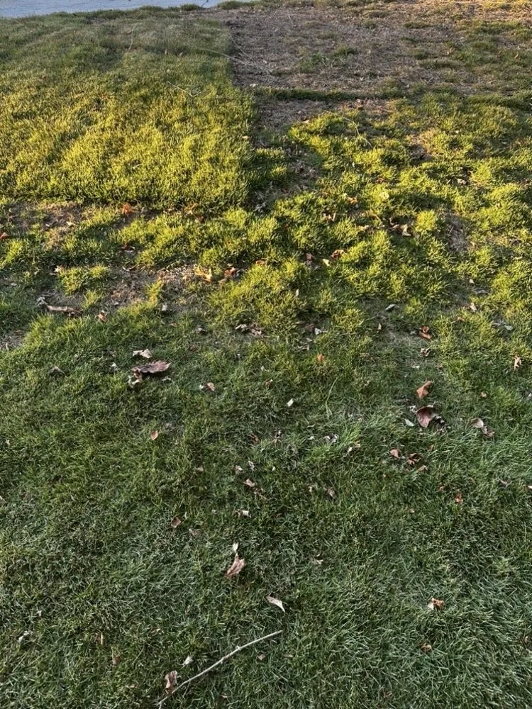 Reliable yard cleanup service in Peachtree Corners, GA by Southern Property Services