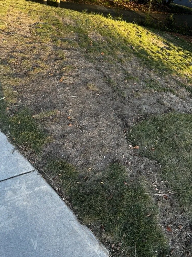 Professional landscape installation with custom design across Peachtree Corners, GA - Southern Property Services