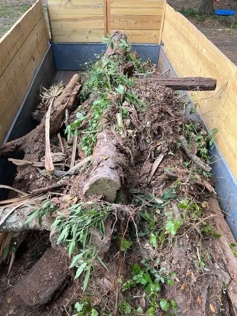 Reliable yard cleanup service experts serving Wimauma, FL - Southern Property Solutions