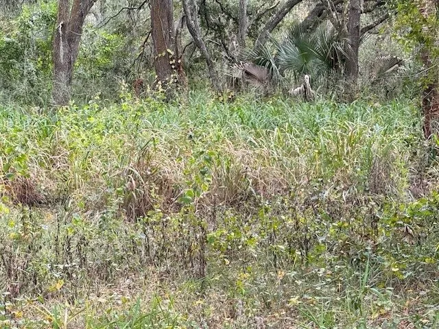 Affordable lawn mowing service with custom design in Wimauma, FL by Southern Property Solutions