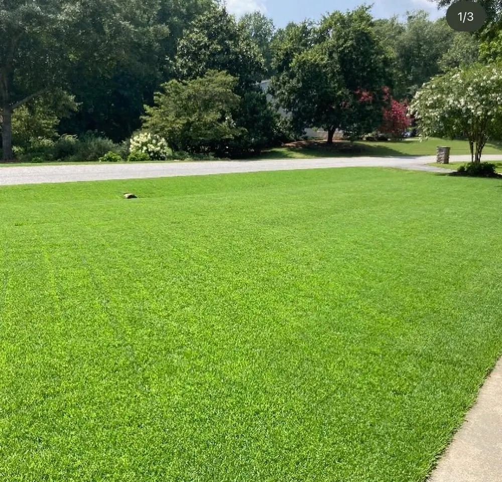 Local yard cleanup service for residential properties in Anderson, SC by Southern Proscapes