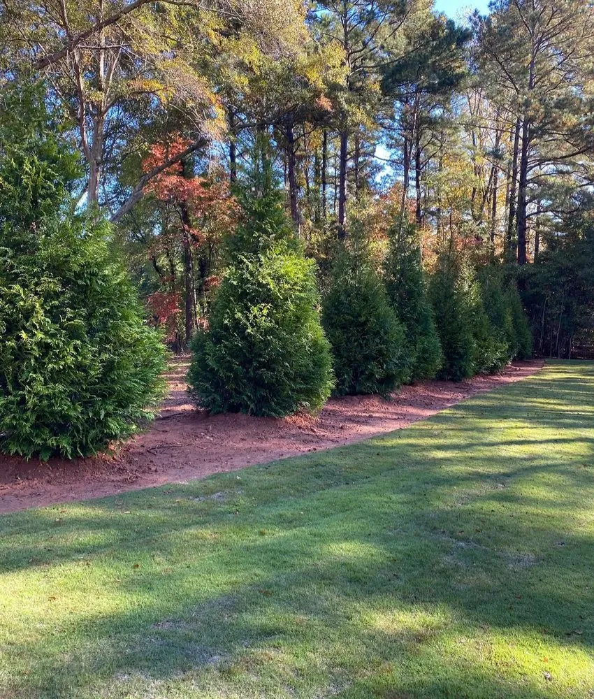 Custom yard maintenance in Anderson, SC by Southern Proscapes