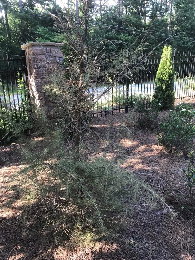 Custom residential landscaping for homes across Dacula, GA - Southern Quality Landscape LLC