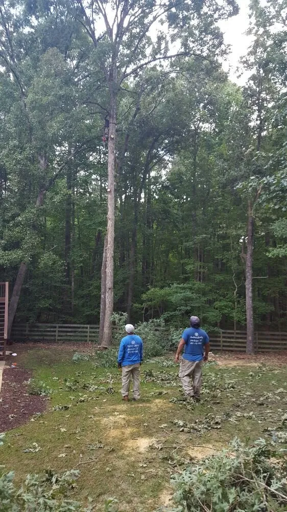 Trusted lawn mowing service for residential properties in Dacula, GA by Southern Quality Landscape LLC