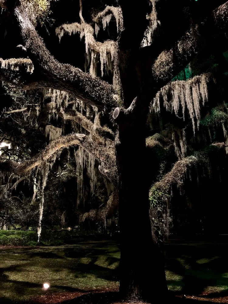 Reliable landscape installation near you across St. Simons Island, GA - Southern Rain