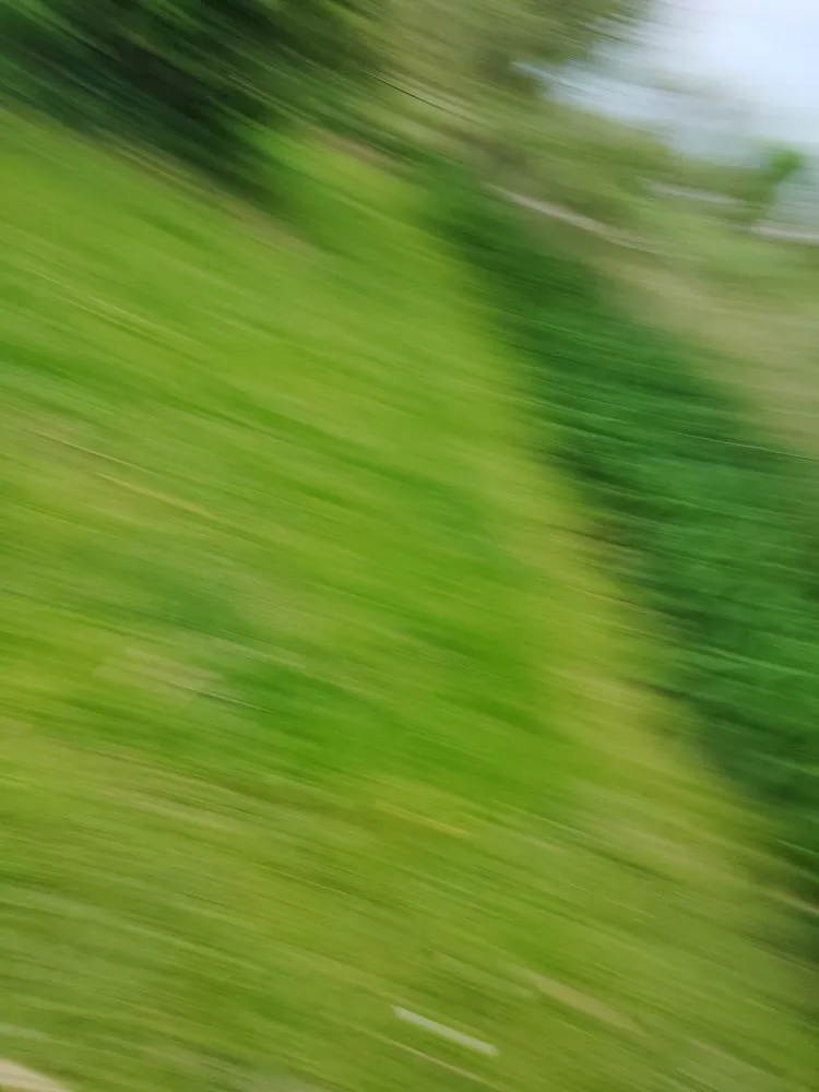 Trusted garden landscaping experts serving Springfield, MO - Southern Raised Landscaping