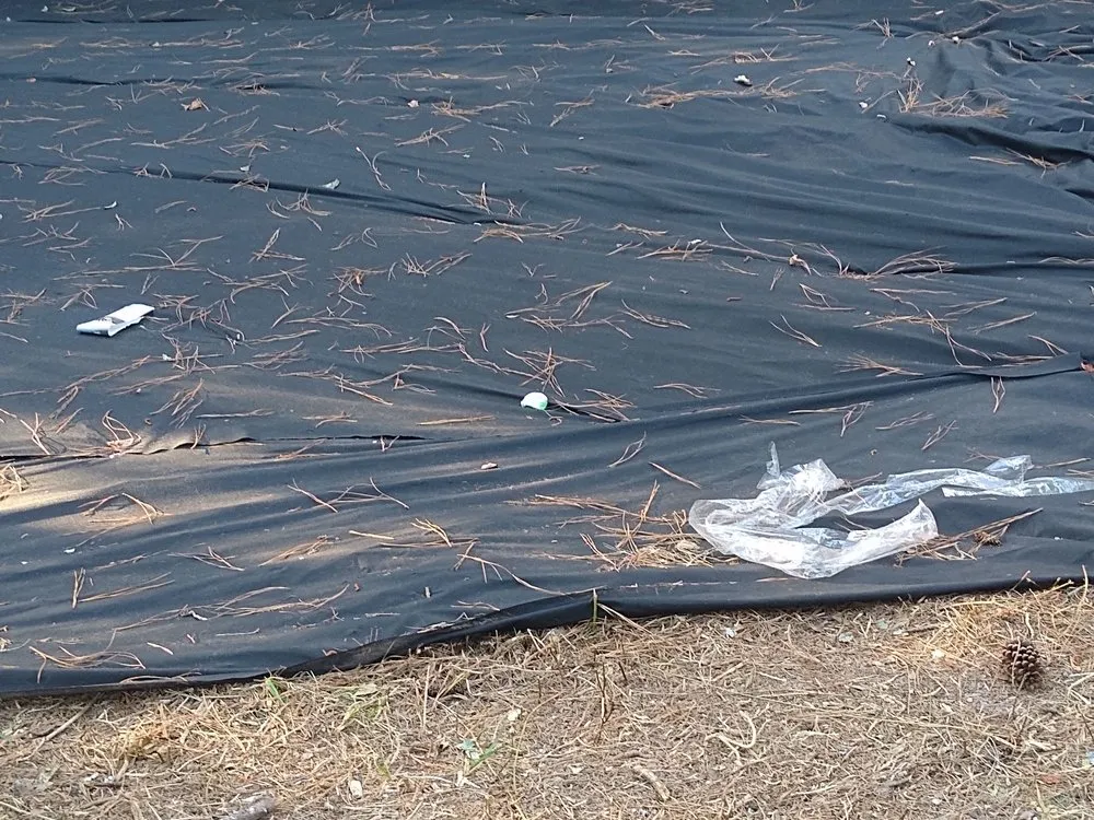 Top-rated outdoor landscaping in Augusta, GA by Southern Reigle Fencing and Lawn Care