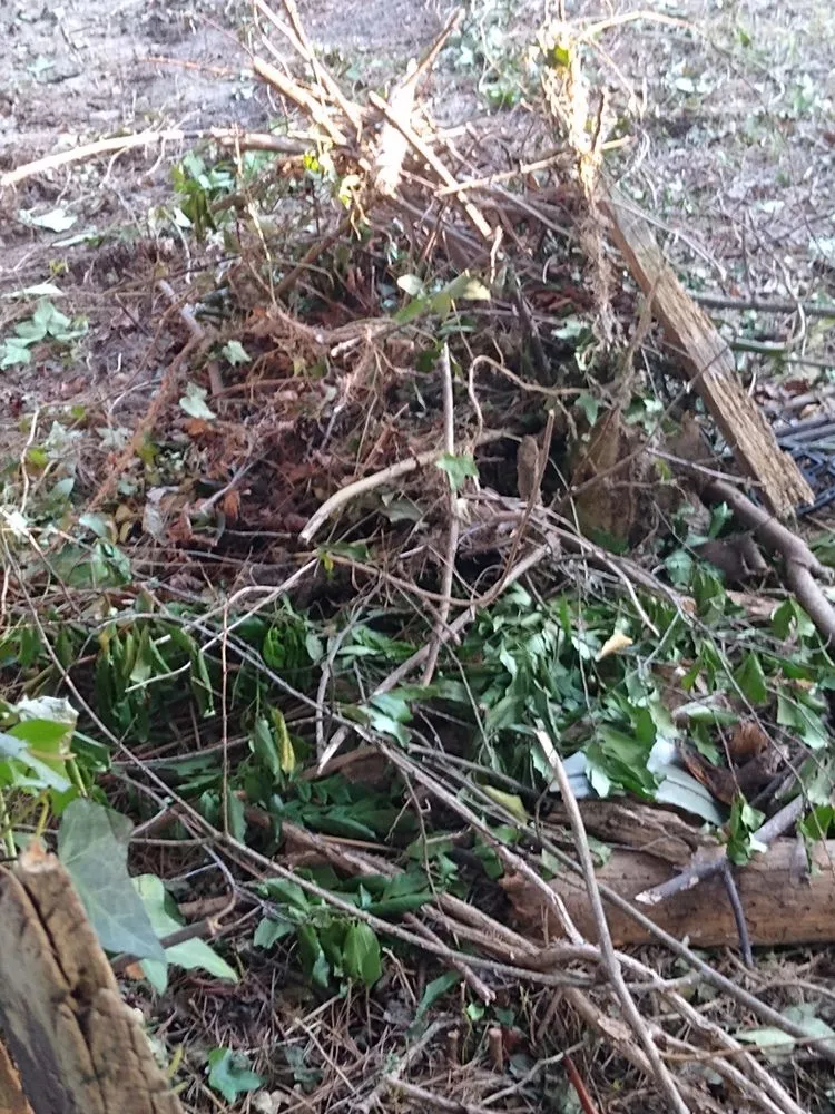 Custom lawn mowing service experts serving Augusta, GA - Southern Reigle Fencing and Lawn Care