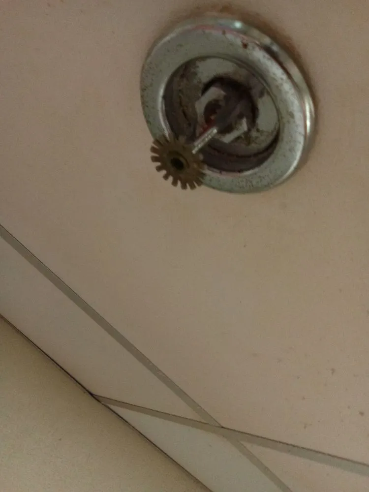 Expert garden landscaping experts serving Seneca, SC - Southern remodeling