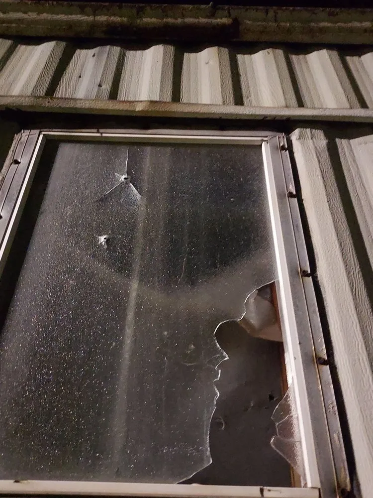 Trusted landscape installation for year-round maintenance across Seneca, SC - Southern remodeling