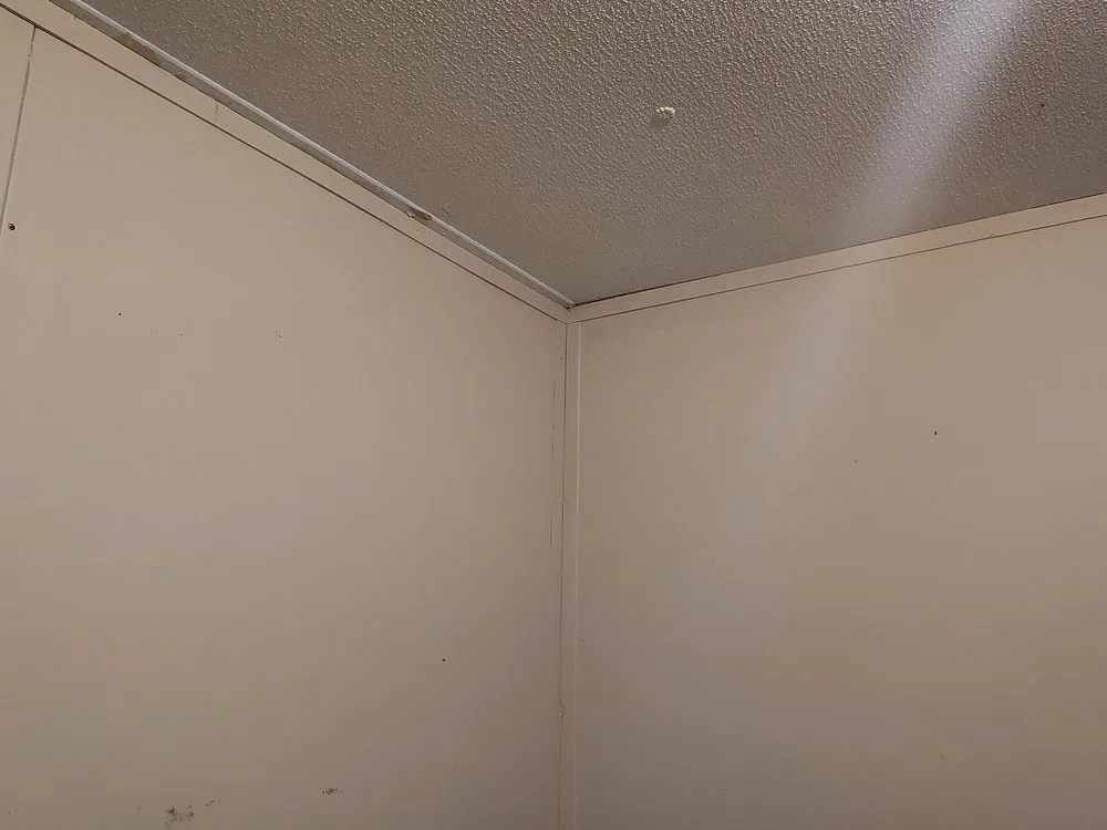 Top-rated landscape installation experts serving Seneca, SC - Southern remodeling