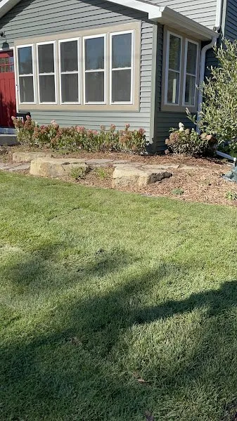 Professional landscaping services for outdoor upgrades across Madison, MS - Southern Roots Environmental