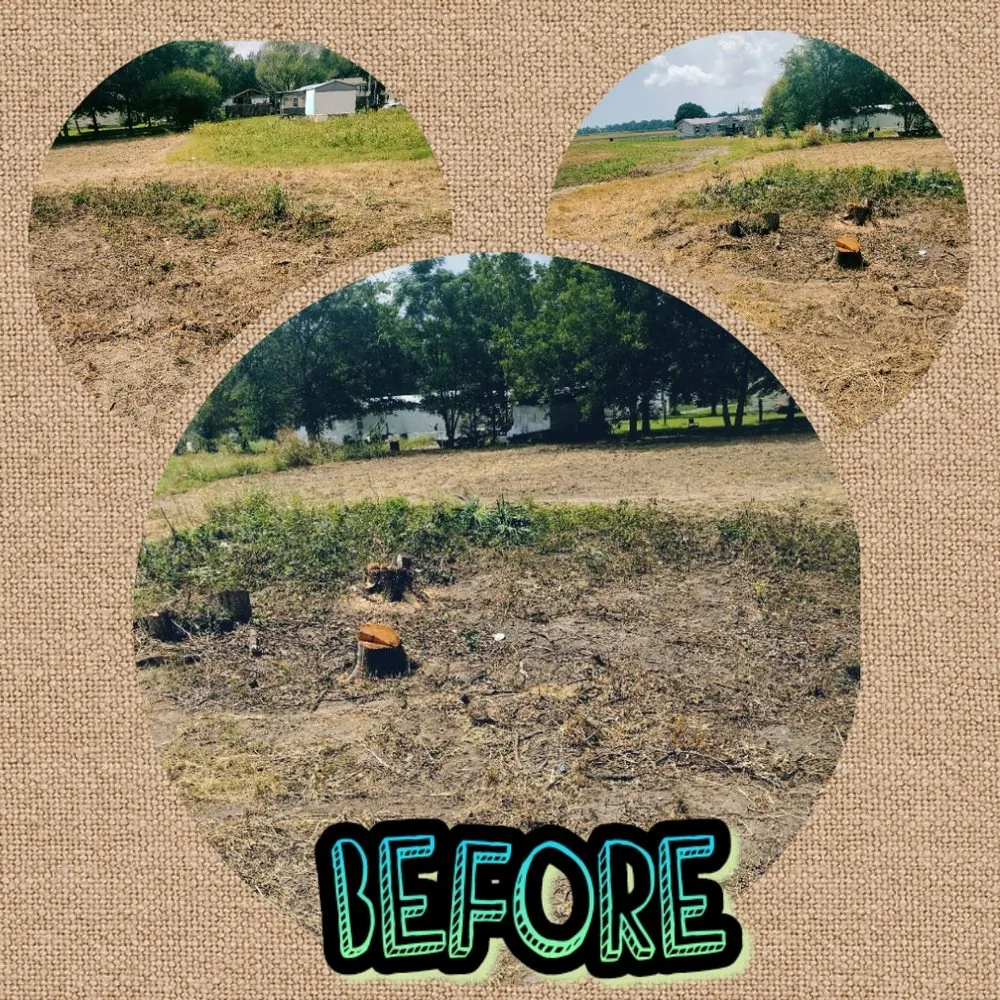 Top-rated yard maintenance for residential properties in Greenville, MS by Southern Roots