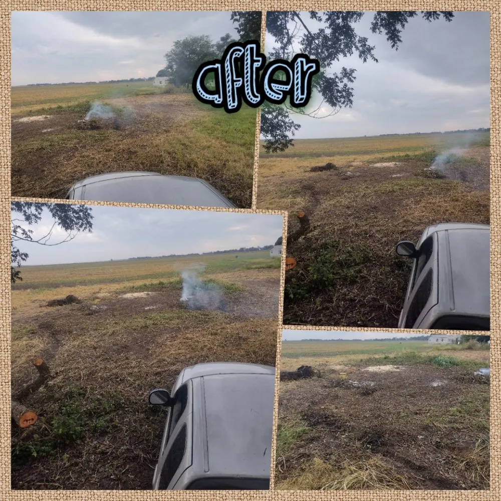 Expert lawn mowing service in Greenville, MS - Southern Roots