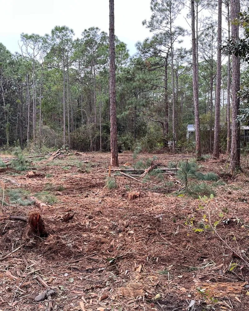 Expert lawn care service with custom design across Fort Walton Beach, FL - Southern Roots Land Service