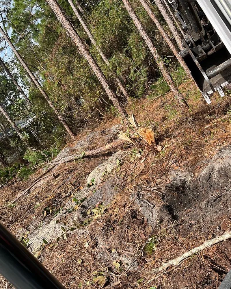 Professional yard maintenance for residential properties across Fort Walton Beach, FL - Southern Roots Land Service