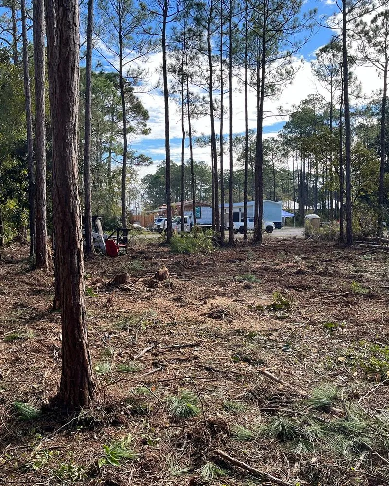 Top-rated landscape design for year-round maintenance in Fort Walton Beach, FL by Southern Roots Land Service