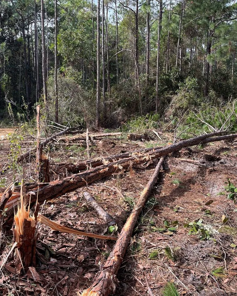 Expert lawn mowing service in Fort Walton Beach, FL by Southern Roots Land Service