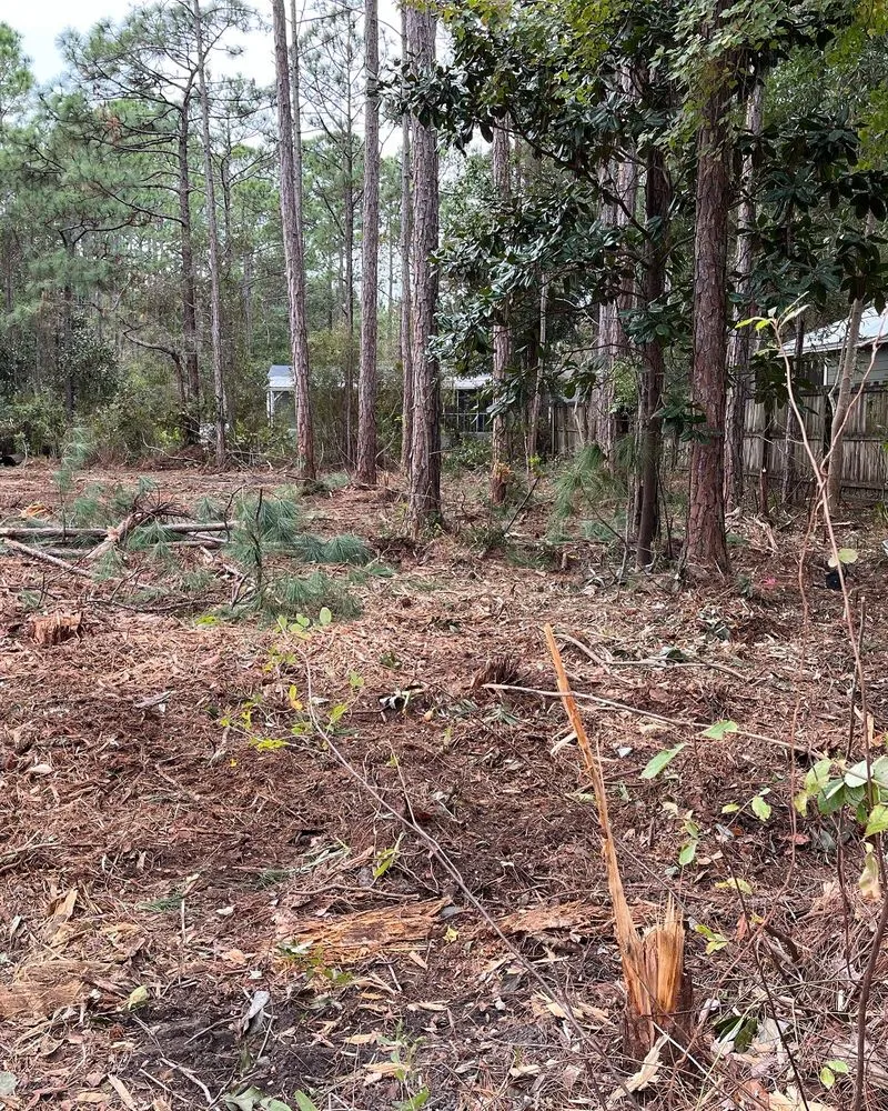 Trusted residential landscaping in Fort Walton Beach, FL - Southern Roots Land Service