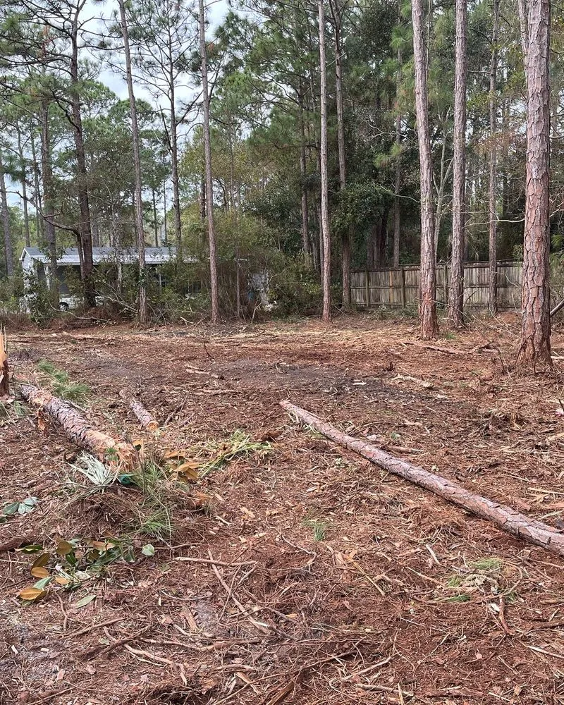 Affordable residential landscaping experts serving Fort Walton Beach, FL - Southern Roots Land Service