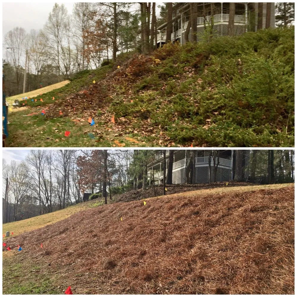 Custom landscaping services for homes across Acworth, GA - Southern Roots Landscaping