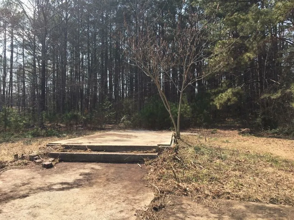 Local landscape installation in Acworth, GA - Southern Roots Landscaping