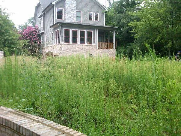 Custom yard cleanup service in Acworth, GA - Southern Roots Landscaping