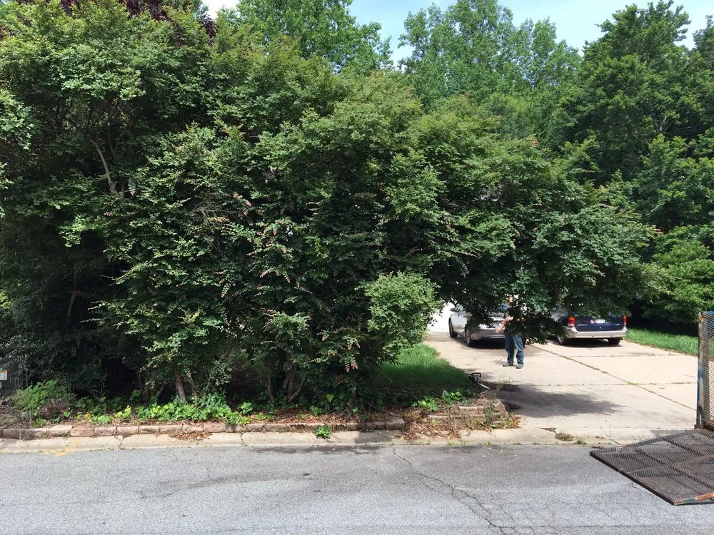 Local yard maintenance for outdoor upgrades in Acworth, GA by Southern Roots Landscaping