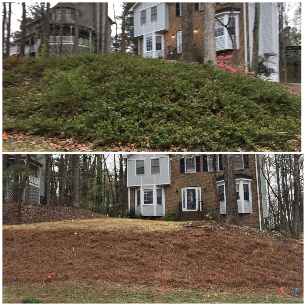 Reliable yard cleanup service in Acworth, GA by Southern Roots Landscaping