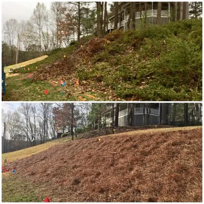 Southern Roots Landscaping Logo