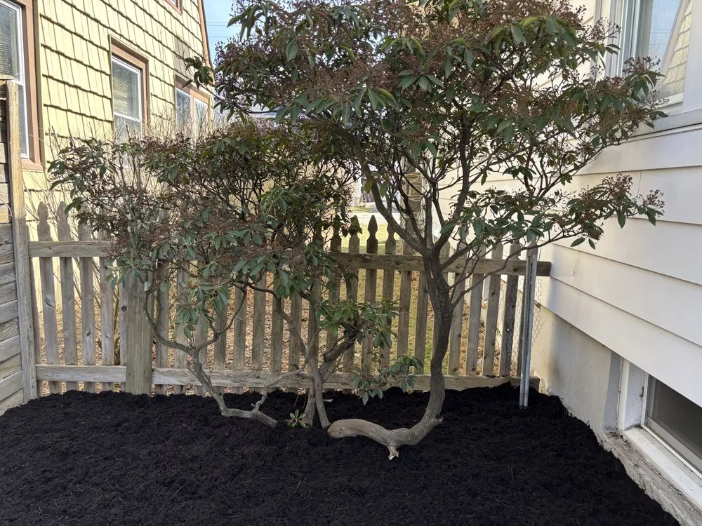 Trusted yard cleanup service experts serving Binghamton, NY - Southern Roots Landscaping